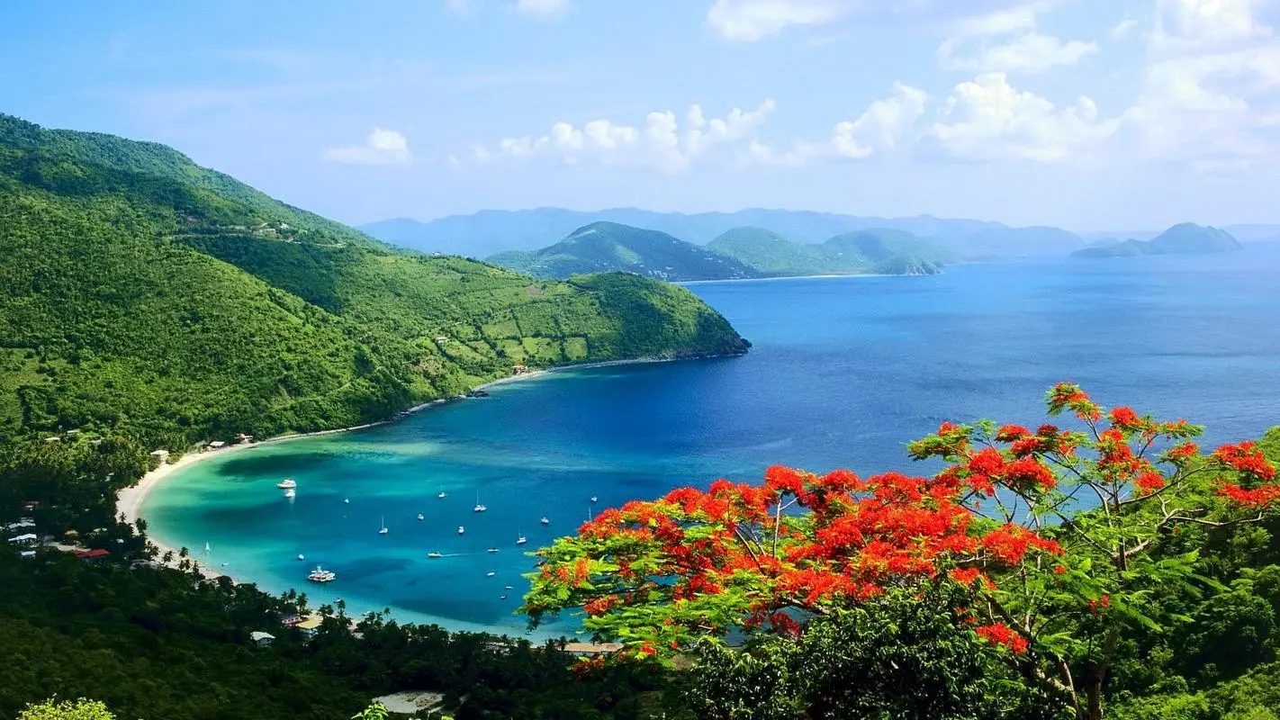 稳定性可靠性高性能